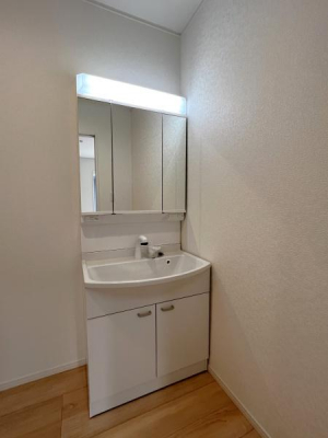 洗面台・洗面所　収納たっぷり三面鏡とハンドシャワー付きの洗面台！