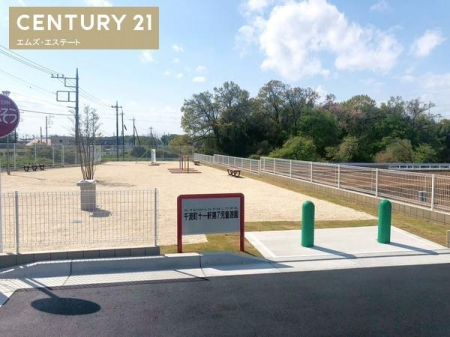 ���̑����n�@�J�������n���̌�����