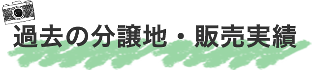 過去の分譲地・販売実績